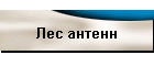 Лес антенн